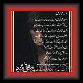 Dashti Thanhi main Faiz Ahmad Faiz 2 * 10.07.2011 * 374 x 529 * (51KB)